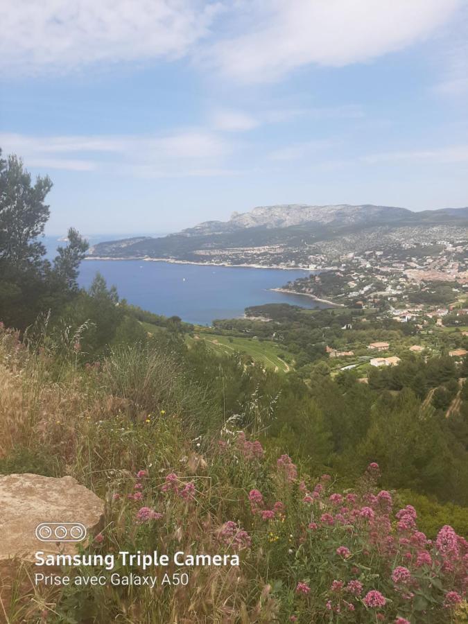 Villa Securisee Pres Des Lecques Saint-Cyr-sur-Mer Exterior foto
