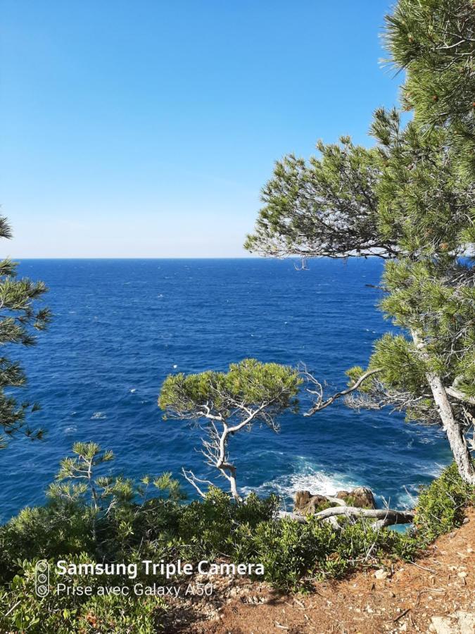 Villa Securisee Pres Des Lecques Saint-Cyr-sur-Mer Exterior foto